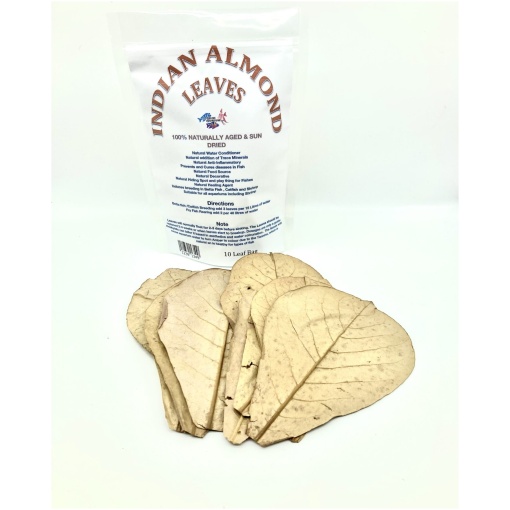Indian Almond Leaves Large pack of 10