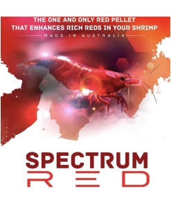 SAS Shrimp Spectrum Red 30g